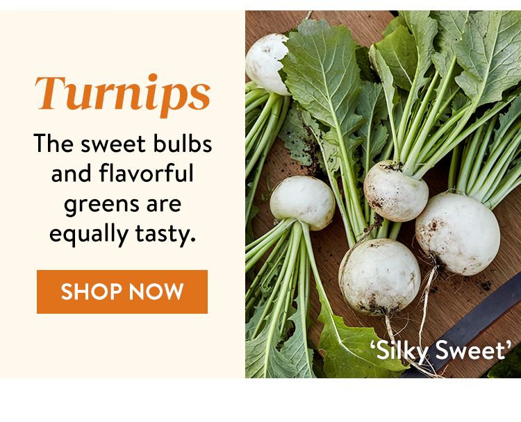 Turnips