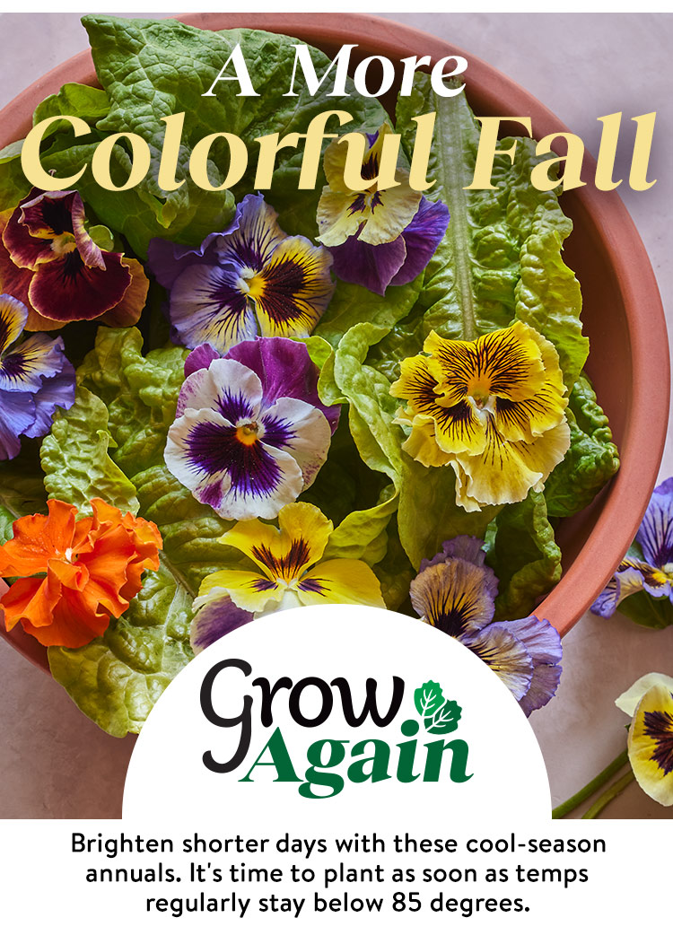 Grow Again Fall Planted Annuals