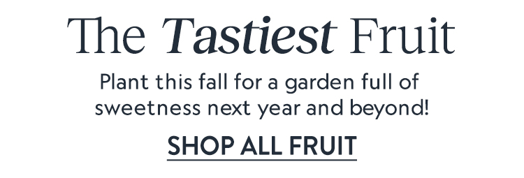 Shop All Fruit & Berry Plants