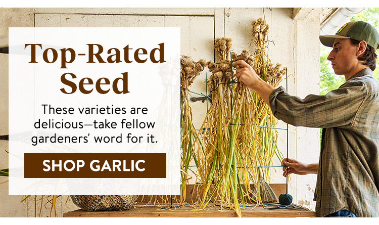 Shop All Garlic