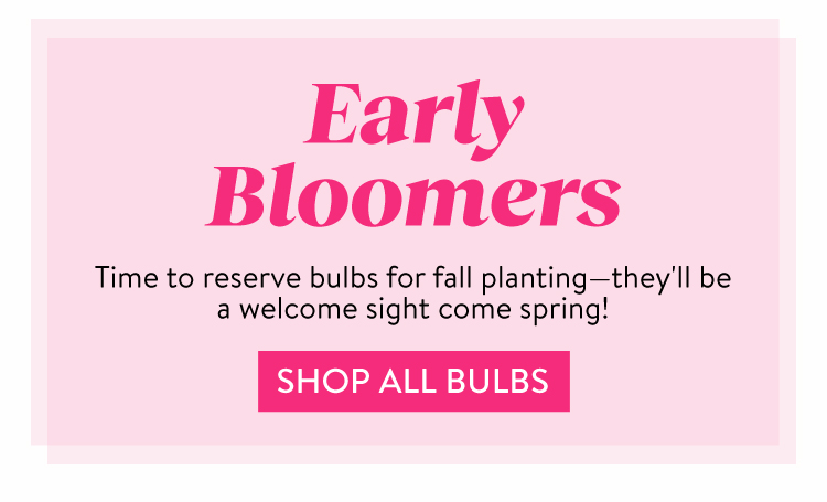 Shop All Bulbs