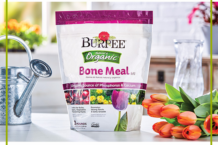 Burpees Natural Organic Bone Meal 6-8-0