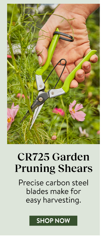 Shears, Burpee CR725 Garden Pruning