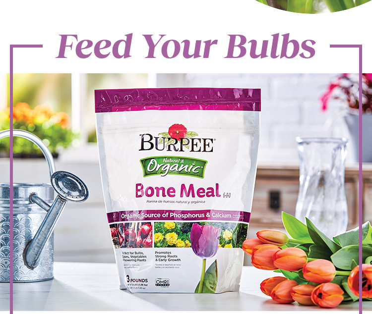 Shop Bone Meal