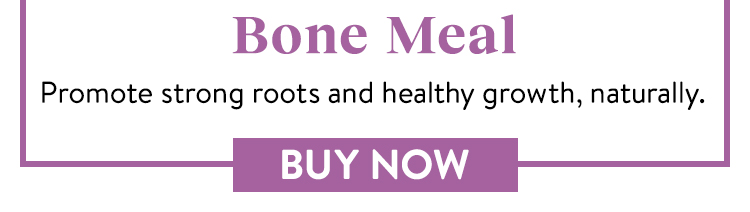 Shop Bone Meal