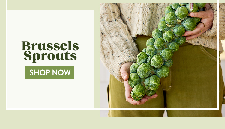 Shop All Brussels Sprouts