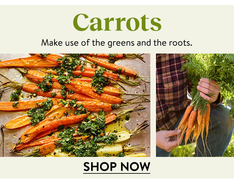 Shop All Carrots