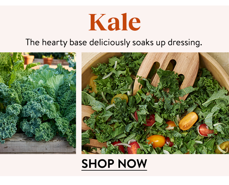 Shop All Kale