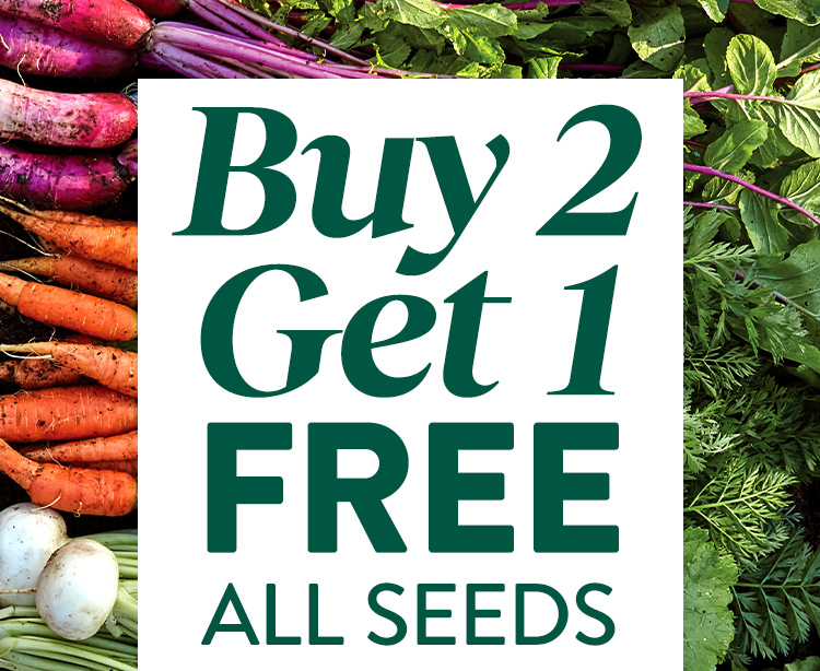 Shop All Seeds