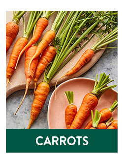 Shop All Carrots