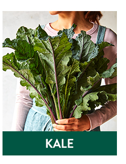 Shop All Kale