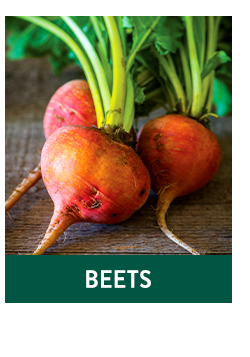 Shop All Beets