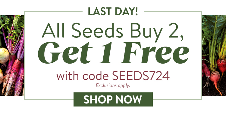 Shop Seeds