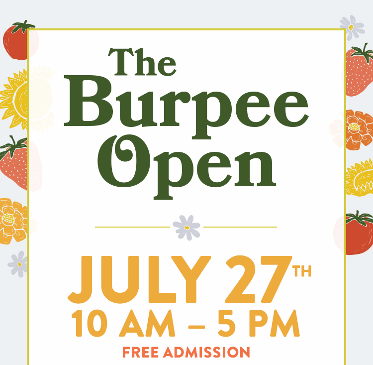 Burpee Open