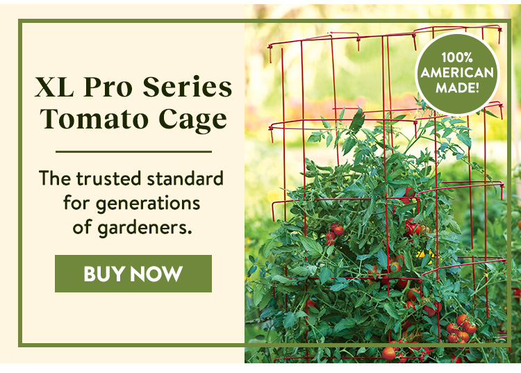 Buy XL Pro Series Cage, Red