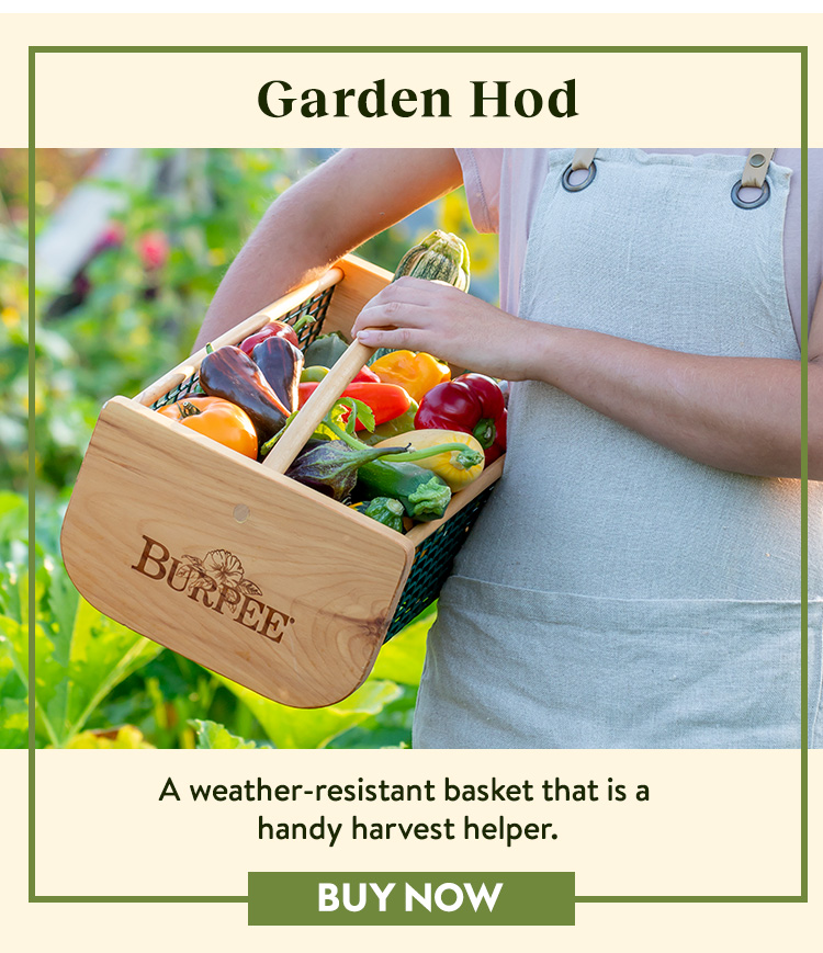 Buy Burpee Garden Hod