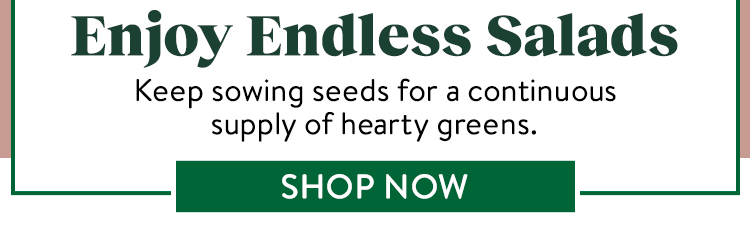 Shop All Salad Green Seeds