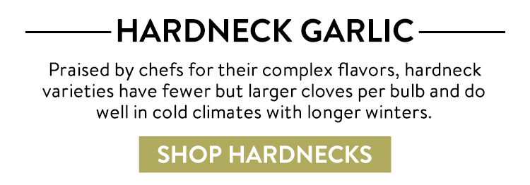 Shop Hardneck Garlic