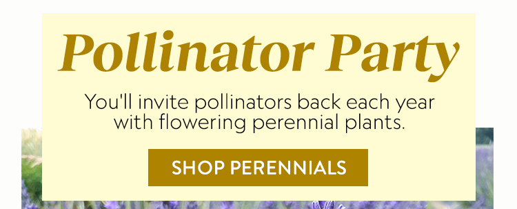 Shop Perennials