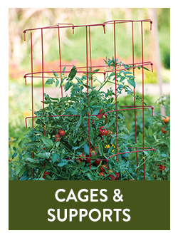 Shop All Cages & Supports