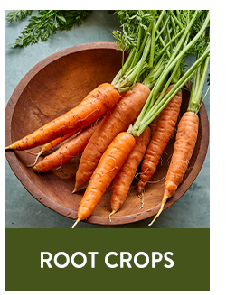 Shop All Root Crops