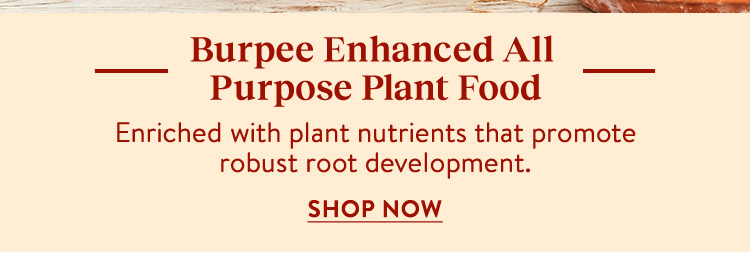 Plant Food, Burpee Enhanced All Purpose - 5-5-5