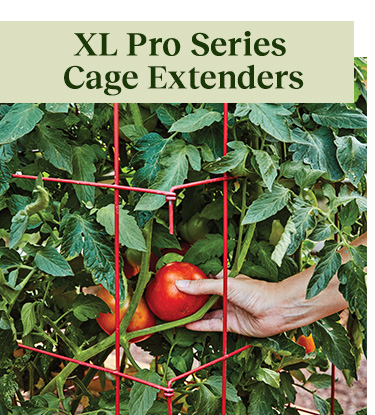 XL Pro Series Cage - Red