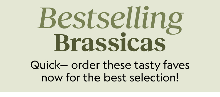 Shop All Brassica Seeds and Plants