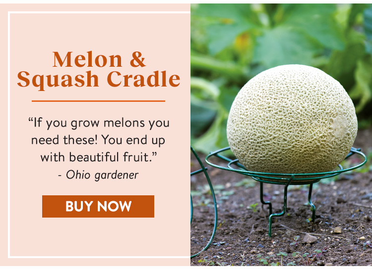 Melon and Squash Cradle