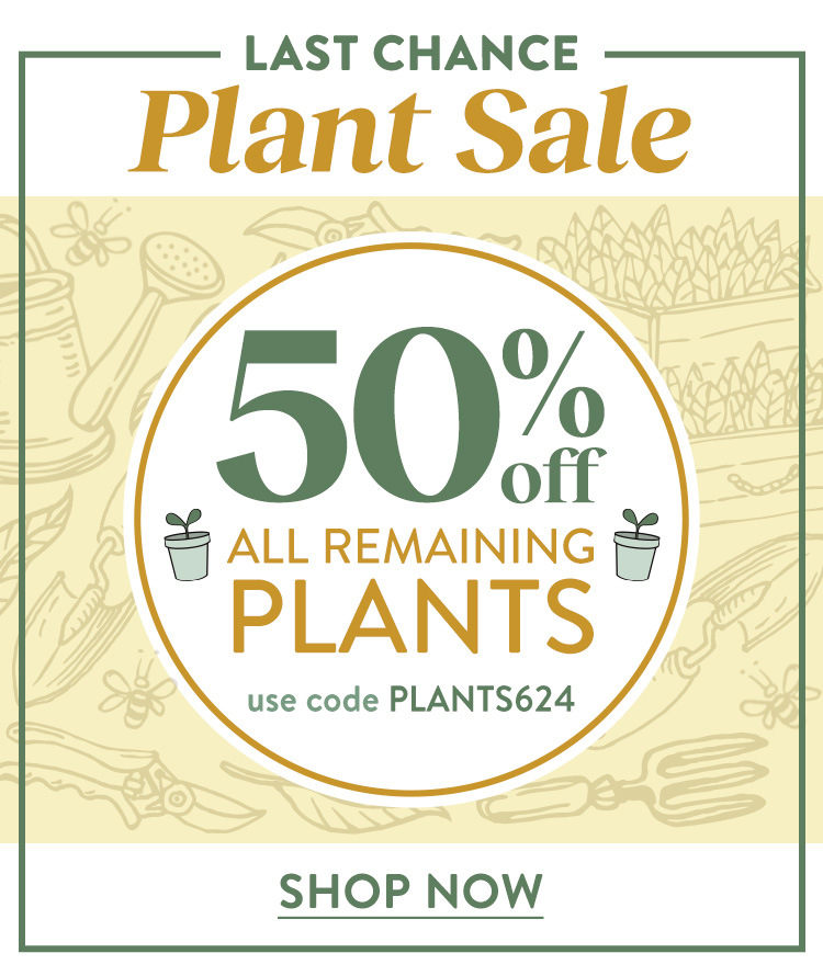Last Call For Spring Plants
