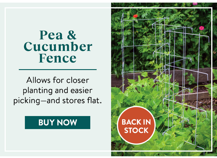 Pea And Cucumber Fence 2/Pack