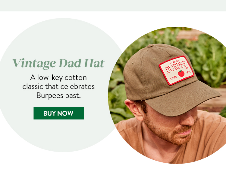 Vintage Dad Hat - Loden