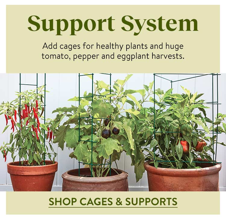 Cages & Supports