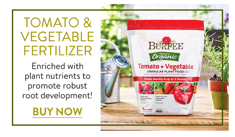 Burpee Organic Tomato + Vegetable Granular Plant Food 3-6-4