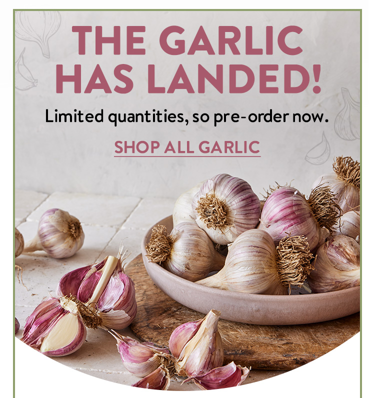 Shop All Garlic