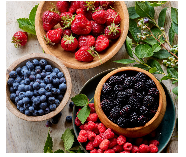 Shop Fruit and Berries