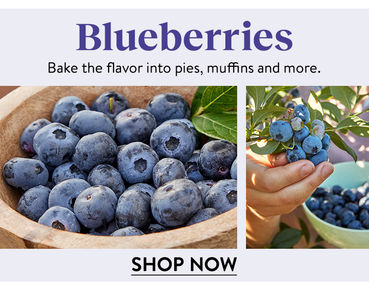 Shop Blueberries