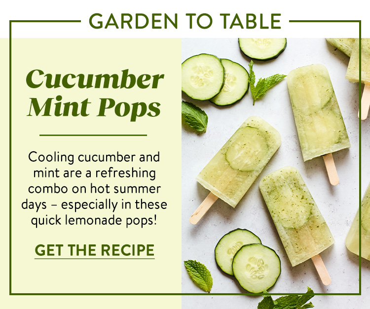 Cucumber Mint Pops