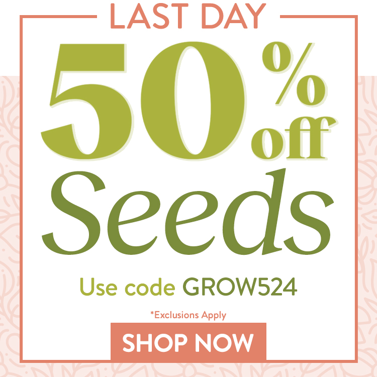 Direct Sow Vegetable Seeds