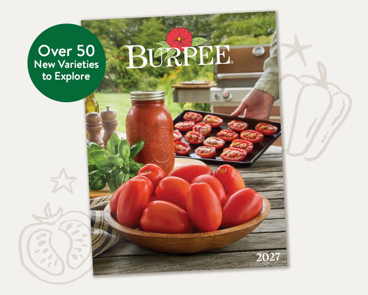 Catalog Request