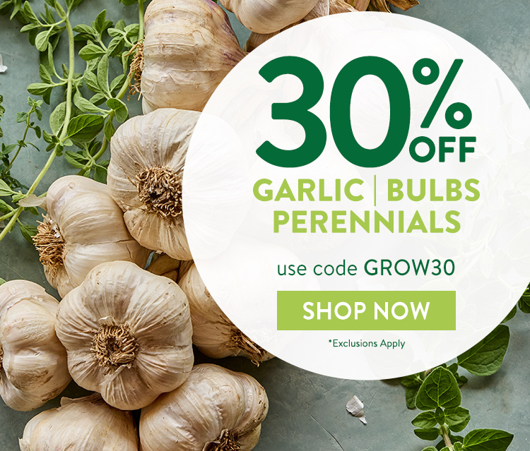 Last Call For Fall Plants