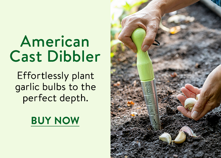 Burpee American Cast Dibbler