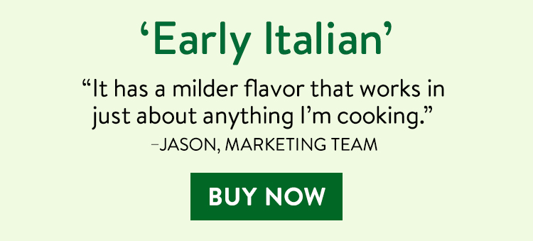 Garlic, Early Italian