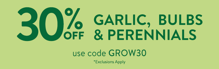 Garlic Bulbs