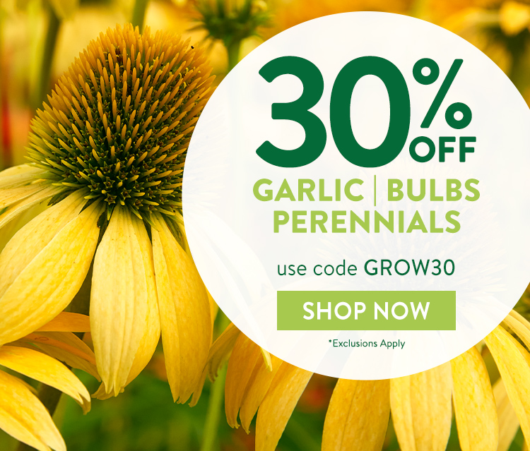 Last Call for Fall Plants