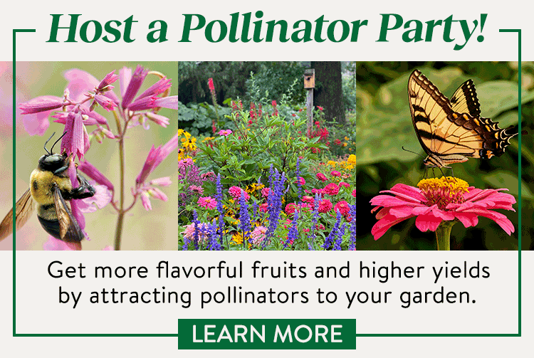 Host a Pollinator Party