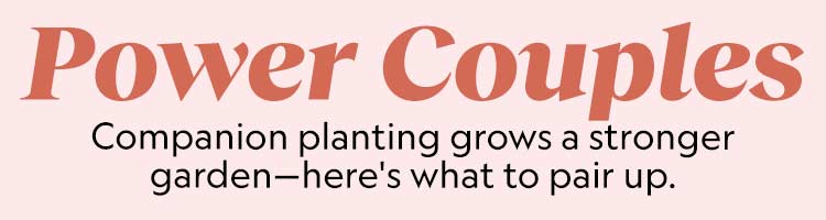 Power Couples Companion planting grows a stronger garden—here's what to pair up. 