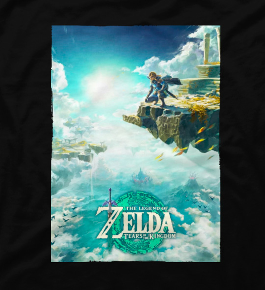 Zelda Tears of the Kingdom Link Poster