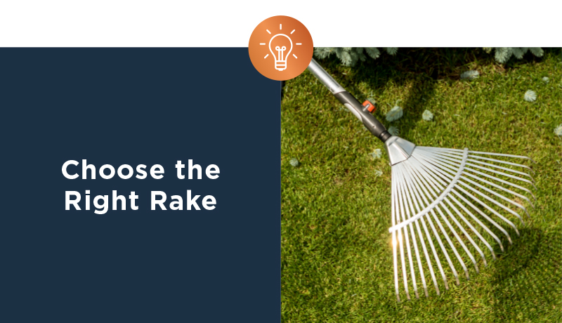 Choose The Right Rake