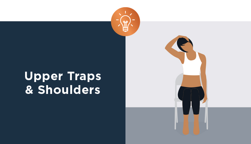 Upper Traps & Shoulders